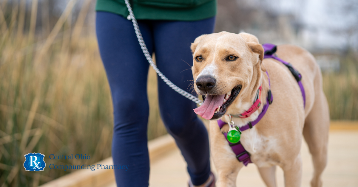 Ohio Veterinary Heart Medications: Pimobendan, Furosemide, & Enalapril for Dogs